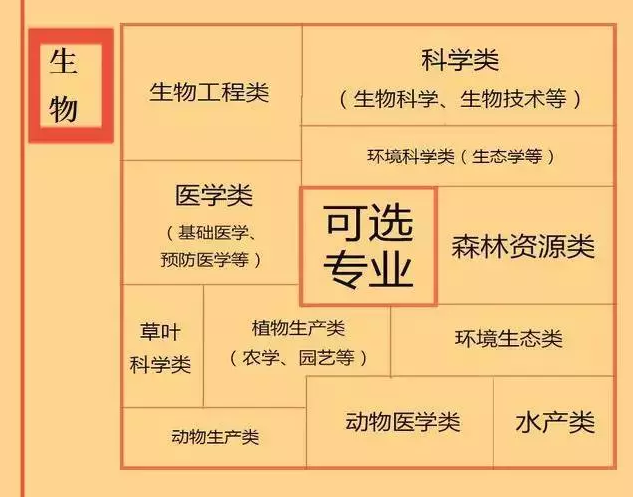 根據(jù)特長選專業(yè)，高中各門課程對(duì)應(yīng)大學(xué)專業(yè)實(shí)用盤點(diǎn)，志愿填報(bào)的你不可錯(cuò)過！