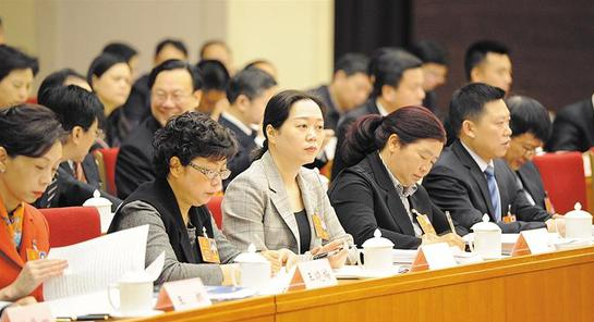 全國人大代表朱世宏在四川代表團開放日表示：2020年前培養(yǎng)1萬名緊缺專業(yè)實用本土人才