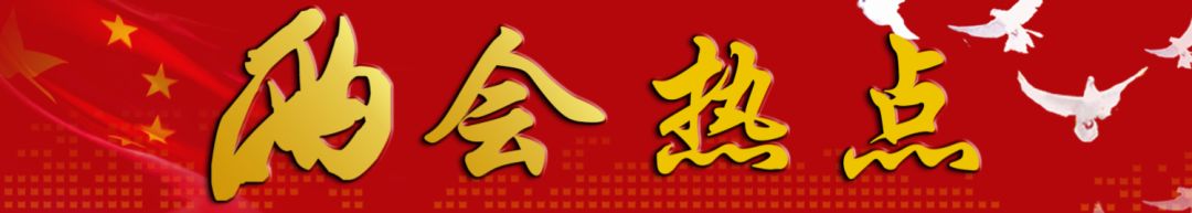 與你相關(guān)！政府工作報(bào)告釋放了什么教育信號(hào)？聽(tīng)代表委員為你解讀 | 兩會(huì)熱點(diǎn)