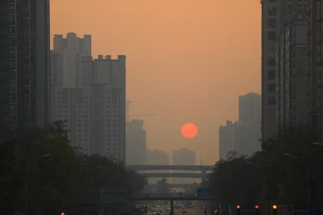 重磅！今后我省這些專業(yè)擬在一本招生